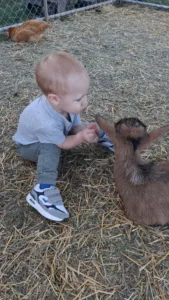 Petting zoo hits 35-year milestone